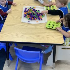 IMG_0521